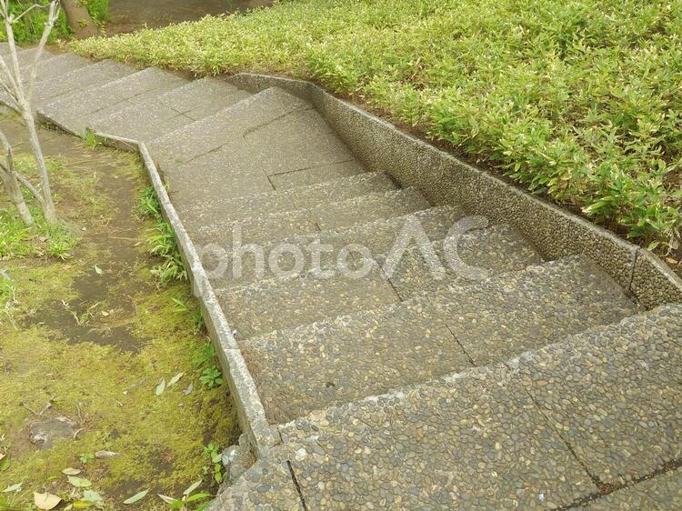 公園の階段 階段,通路,公園の写真素材
