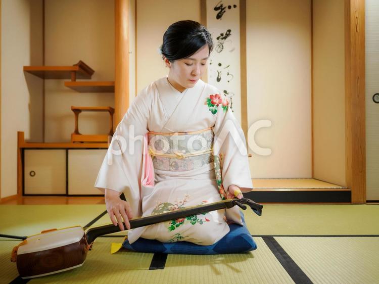 33：和服で三味線を演奏する女性 三味線,着物,伝統芸能の写真素材