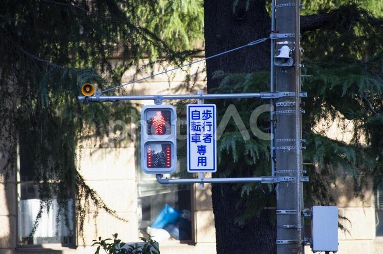 歩行者信号 信号,赤,歩行者信号の写真素材