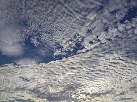 夕方の秋雲 夕方の秋雲の写真