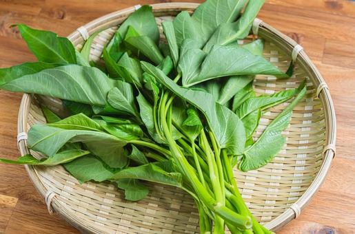 竹ざるに盛った空芯菜 竹ざるに盛った空芯菜 空芯菜,野菜,くうしんさいの写真素材
