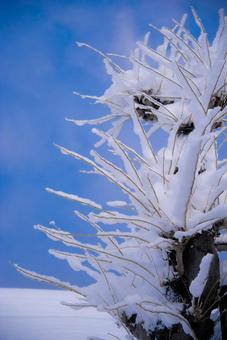 雪のある風景 雪のある風景の写真