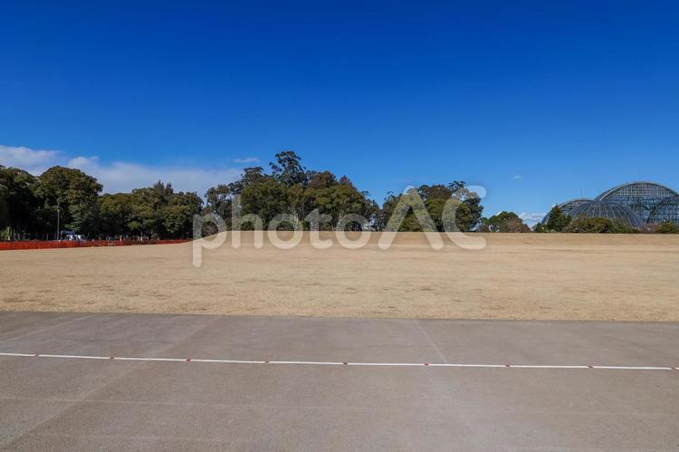 夢の島公園　アーチェリー場 夢の島公園,アーチェリー場,夢の島の写真素材
