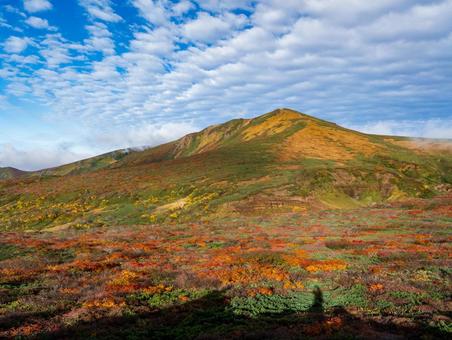 紅葉の栗駒山(須川岳) 紅葉の栗駒山(須川岳) 栗駒山,須川岳,紅葉の写真素材