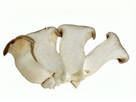 スライスしたエリンギ スライスしたエリンギ エリンギ,きのこ,茸の写真素材