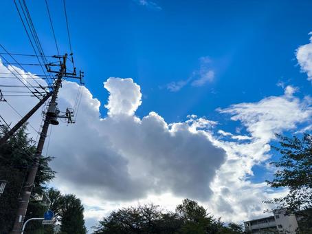 電線と雲と青空 電線と雲と青空の写真