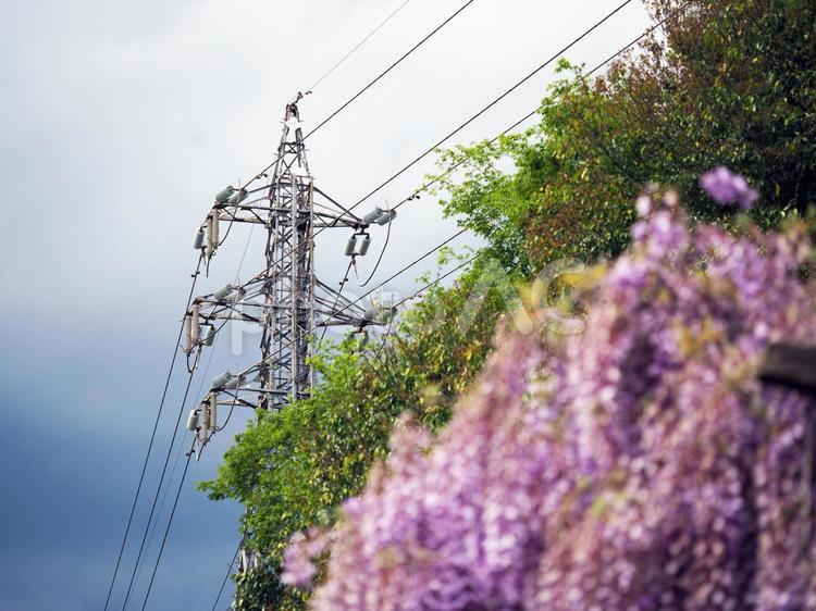 鉄塔がある風景 鉄塔,送電線,電線の写真素材