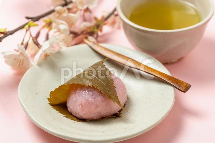 桜もちとお茶 和菓子,桜もち,お花見の写真素材