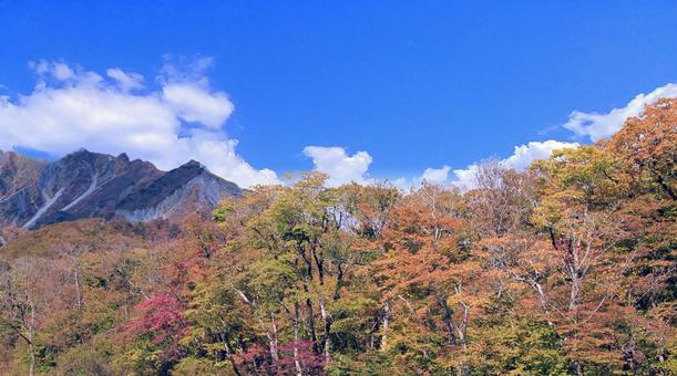 大山の秋の紅葉 紅葉,大山,秋の写真素材