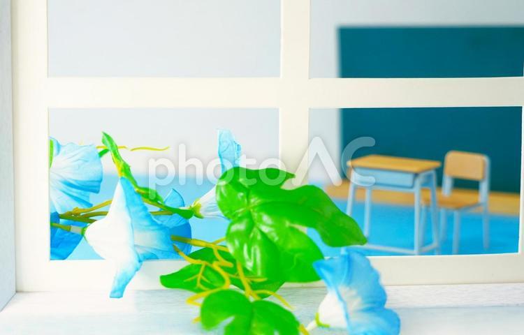 夏休みの教室 学校,朝顔,窓枠の写真素材