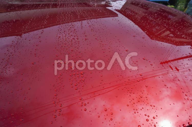 雨の後の撥水（赤色の新車）16 自動車,車,ボディーの写真素材