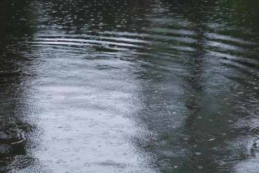 雨の日 雨の日 雨,雨降り,梅雨の写真素材