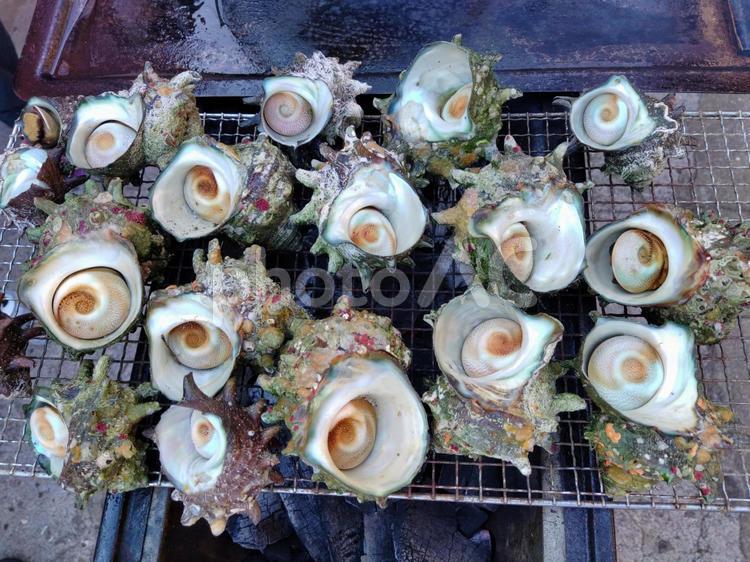 サザエの壺焼き さざえ,サザエ,海の写真素材