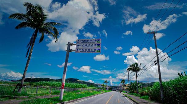 晴れた沖縄の道 晴れた沖縄の道の写真