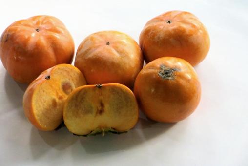 秋の味覚   柿 柿,秋の味覚,果物の写真素材