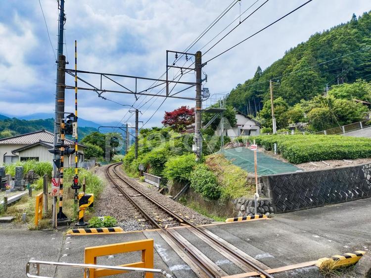 身延線「寄畑駅」ホームから見る踏切と茶畑 jr身延線,寄畑駅,ホームの写真素材