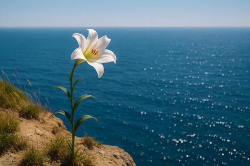断崖の白百合と海景 断崖の白百合と海景の写真
