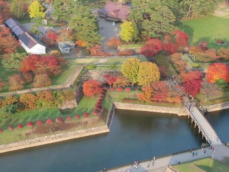 五稜郭　紅葉 11月,秋,五稜郭の写真素材