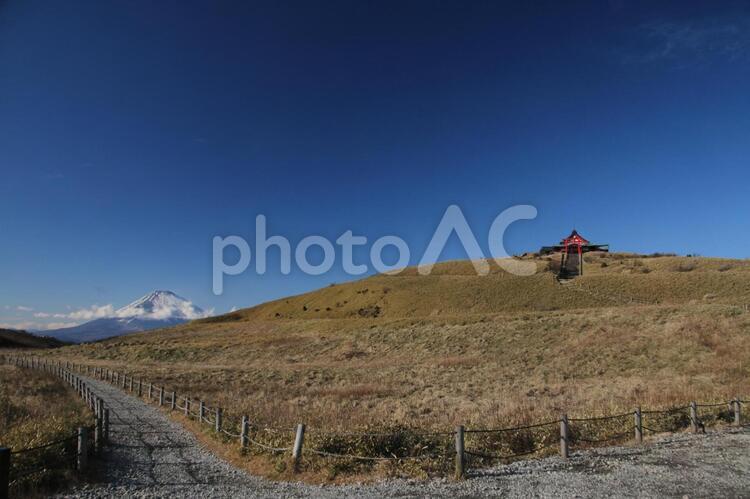 富士山と箱根元宮 富士山,箱根,箱根元宮の写真素材