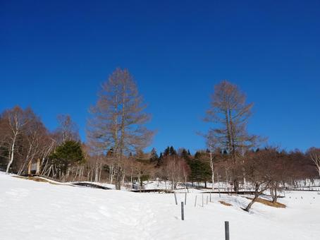 入笠山・入笠湿原(冬) 入笠山・入笠湿原(冬) 入笠山,湿原,入笠湿原の写真素材