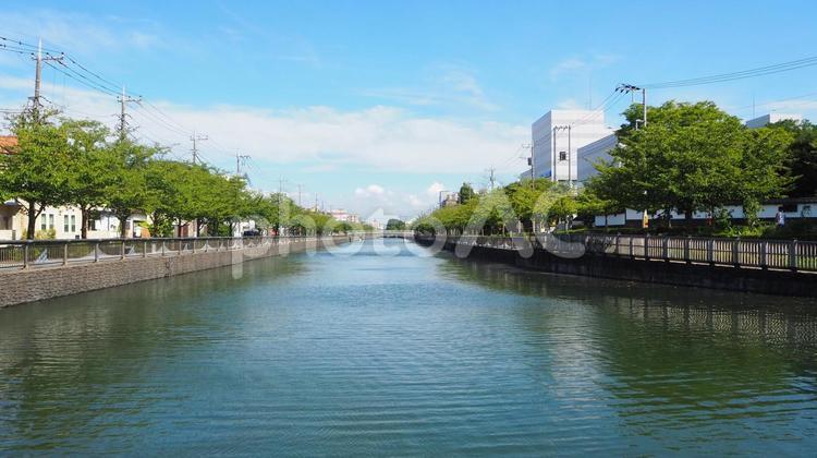 東京・下町の運河沿いの並木・江戸川区船堀 下町,江戸川区,東京都の写真素材