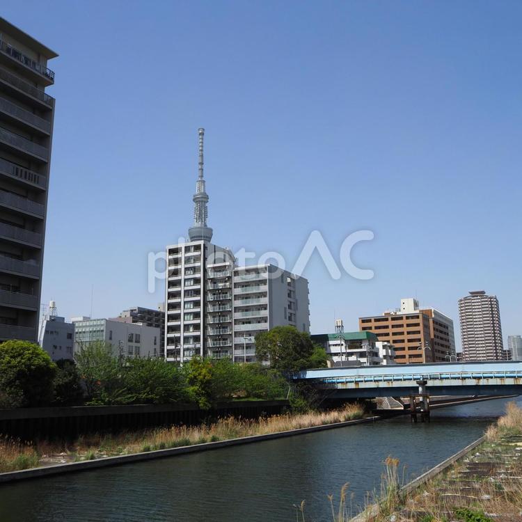 天神橋＆スカイツリー＆東京都墨田区の街 天神橋,東京スカイツリー,墨田区の写真素材