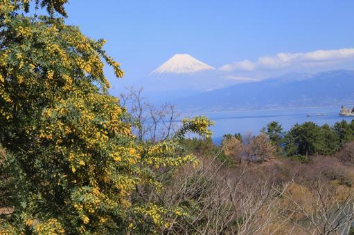 井田からの富士山 井田からの富士山の写真
