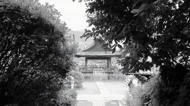 初秋の三井寺 木立ちの間から見る観月舞台 初秋の三井寺 木立ちの間から見る観月舞台 三井寺,観月舞台,檜皮葺屋根の写真素材