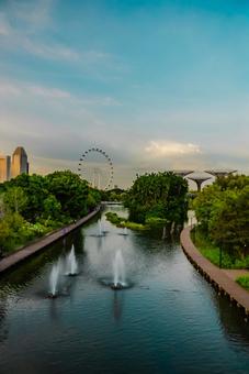 【シンガポール】ガーデンズバイザベイ ガーデンズバイザベイ,singapore,緑の写真素材