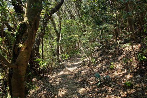 由良岬灯台と由良岬御所跡への道 由良岬灯台と由良岬御所跡への道 由良岬灯台,由良岬,灯台の写真素材