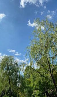 空を撮影した風景の写真