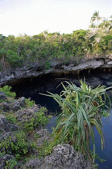 ニューカレドニア529 亀の洞窟 ニューカレドニア529 亀の洞窟の写真