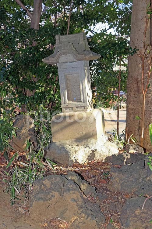 赤塚氷川神社（板橋） 赤塚氷川神社,素戔嗚尊,藤原広継命の写真素材