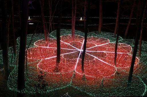 菅平のイルミネーション_06 菅平のイルミネーション_06の写真