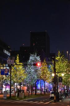2024御堂筋イルミネーション 2024御堂筋イルミネーションの写真