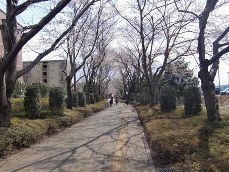 ILBの遊歩道-1 ILBの遊歩道-1 ilb,遊歩道,点字ブロックの写真素材