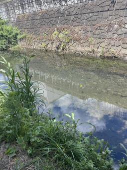 川 川の写真