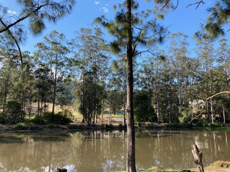 ビオトープの写真