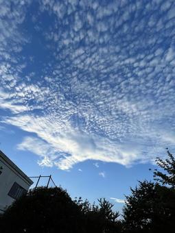 青空と雲 青空と雲の写真