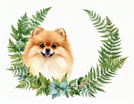 ポメラニアンと葉のフレーム ポメラニアンと葉のフレームの写真