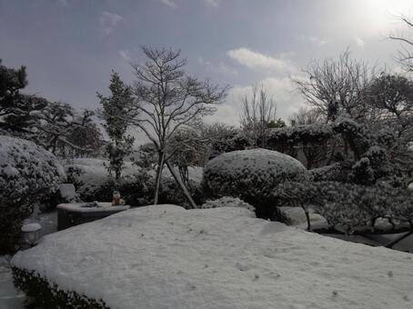 雪 雪の写真
