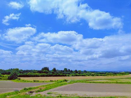 青空と畑 青空と畑の写真