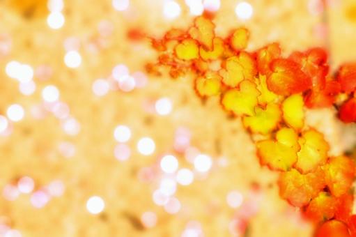 背景・イメージ素材/玉ボケ・蔦の葉の紅葉の写真