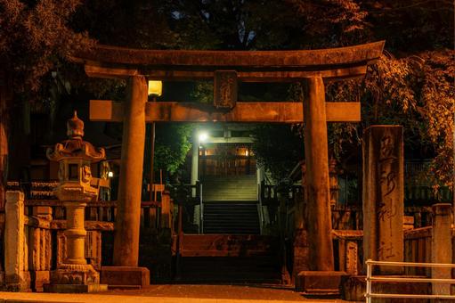 五所神社 神社,五所神社,夜の写真素材