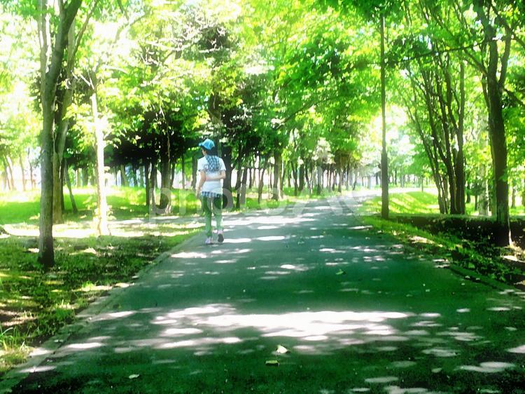 木陰の散歩 ウォーキング,公園,夏の写真素材