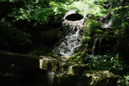苔むす岩を流れる森の小滝 苔むす岩を流れる森の小滝 滝,小滝,流水の写真素材