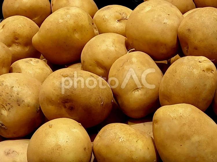 たくさんのじゃがいも じゃがいも,ジャガイモ,じゃが芋の写真素材