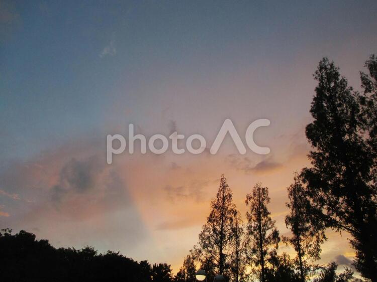 夕焼けと樹々 夕焼け,日暮れ,太陽の写真素材