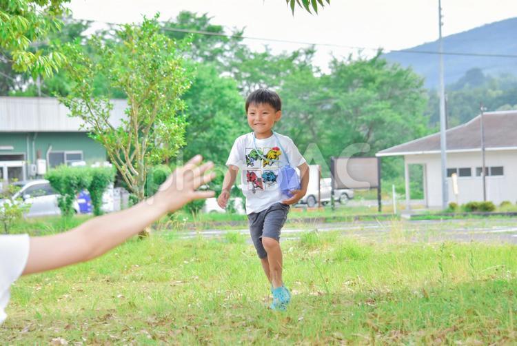 虫かごを持って走る男の子 男の子,子供,走るの写真素材