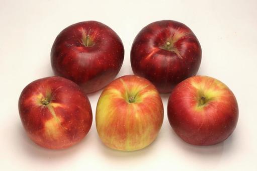 りんご紅玉 植物,果物,果実の写真素材